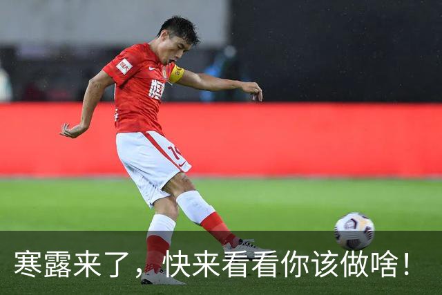 寒露来了，快来看看你该做啥！